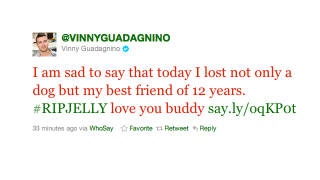 Illustration for article titled Two Pets Of Jersey Shore Cast Members Mysteriously Harmed